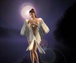 l'ange Gulec