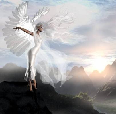 L'envol de l'ange