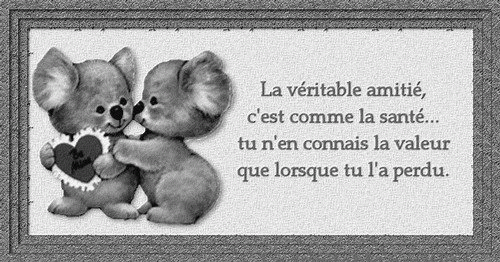amitié ... définition